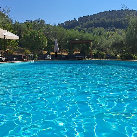 فيلا Agriturismo Poggio All'Olmo غريفي ان شنتي المظهر الخارجي الصورة