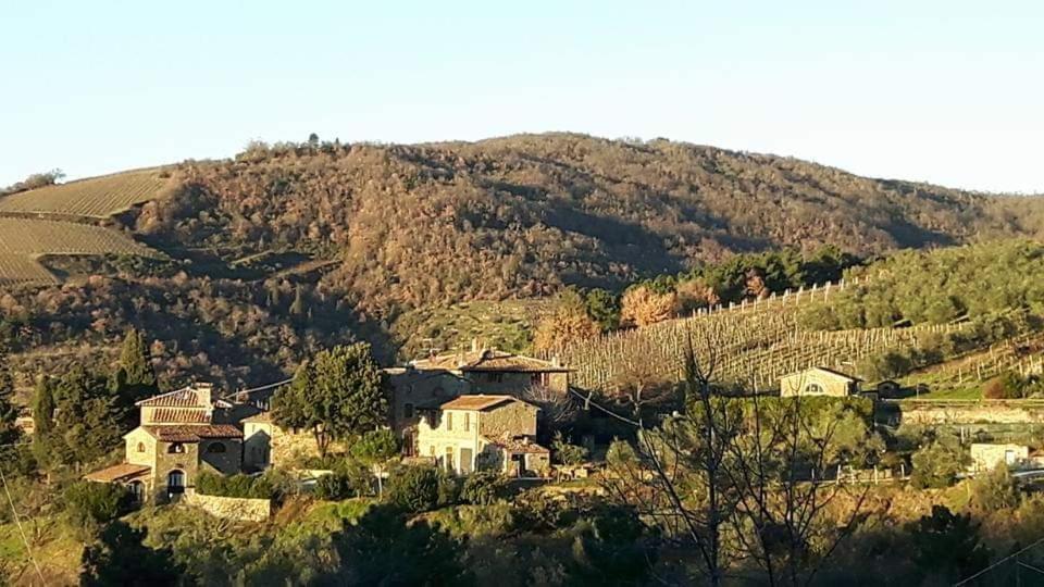 فيلا Agriturismo Poggio All'Olmo غريفي ان شنتي المظهر الخارجي الصورة