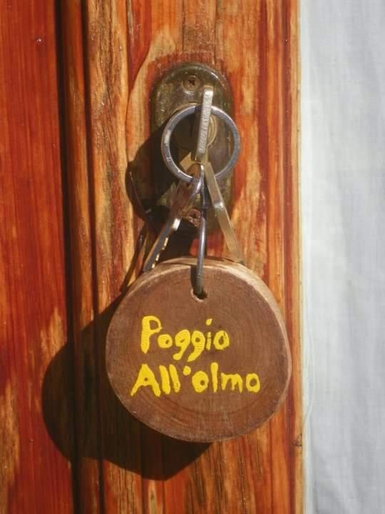 فيلا Agriturismo Poggio All'Olmo غريفي ان شنتي المظهر الخارجي الصورة
