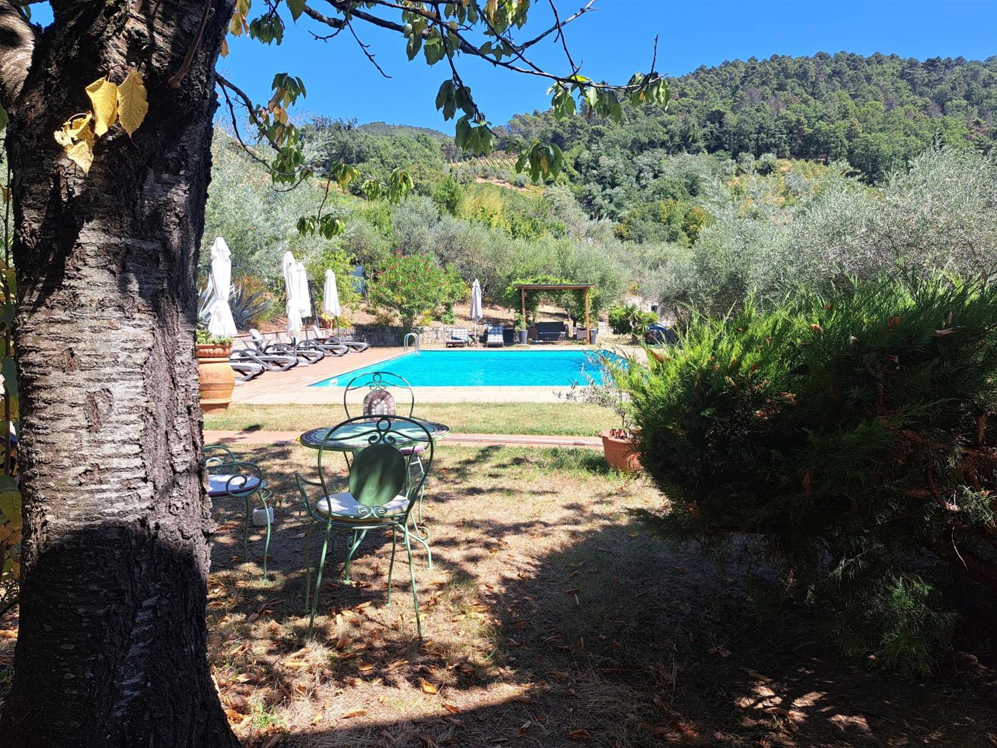 فيلا Agriturismo Poggio All'Olmo غريفي ان شنتي المظهر الخارجي الصورة
