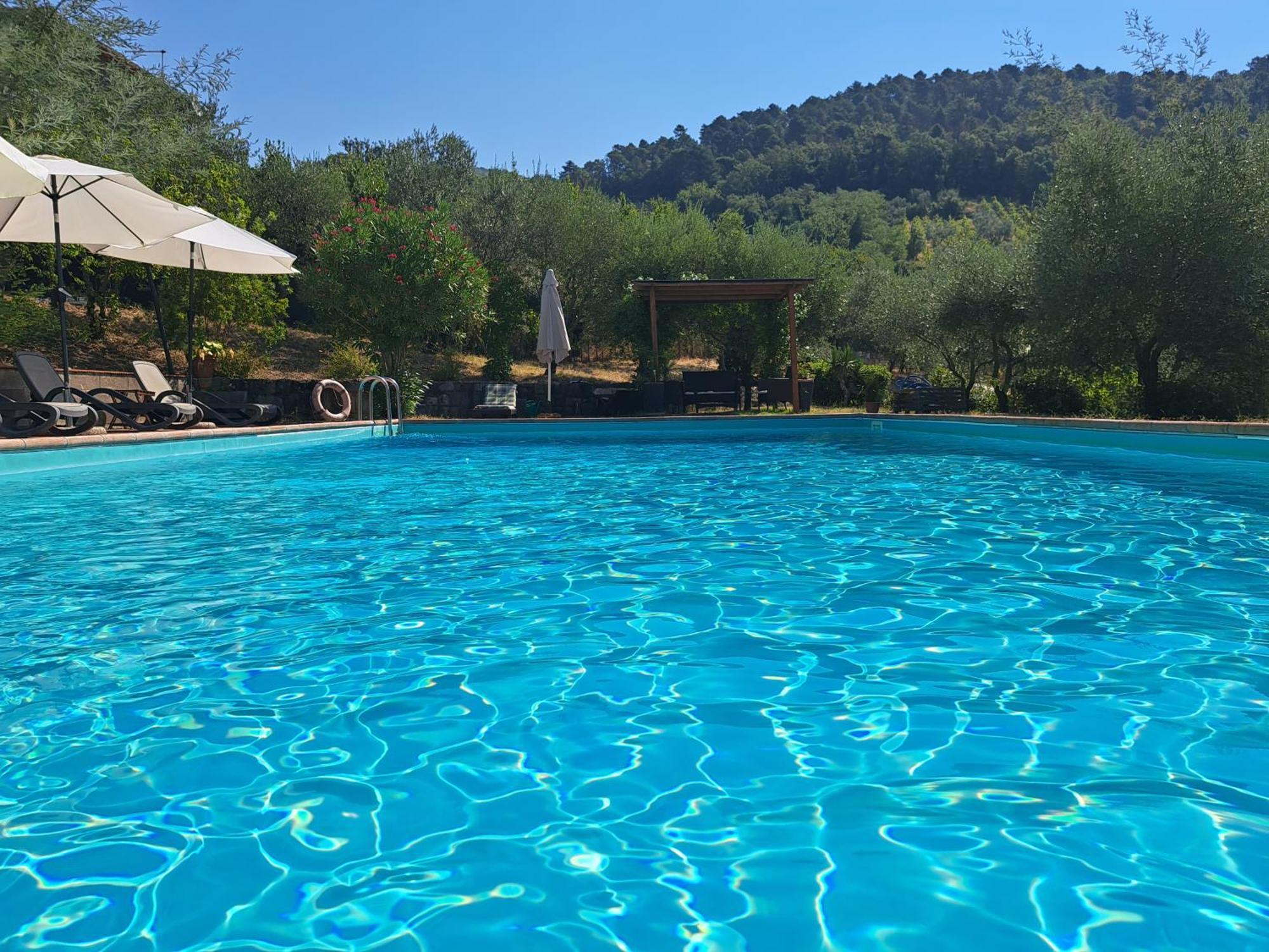 فيلا Agriturismo Poggio All'Olmo غريفي ان شنتي المظهر الخارجي الصورة