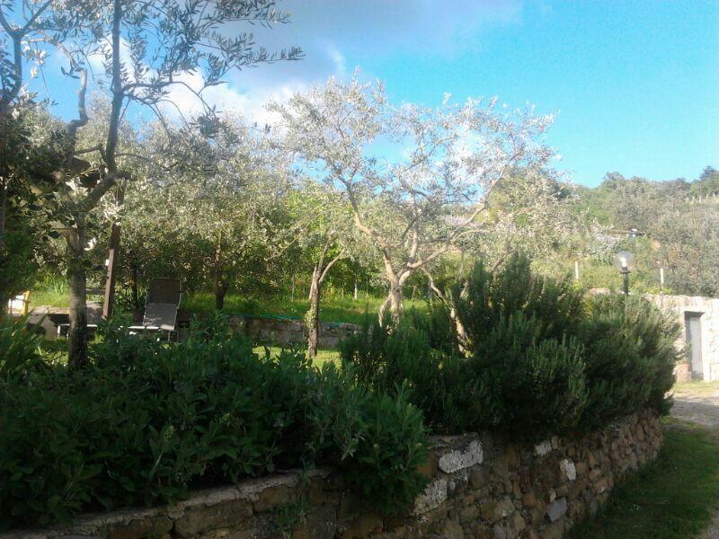 فيلا Agriturismo Poggio All'Olmo غريفي ان شنتي المظهر الخارجي الصورة