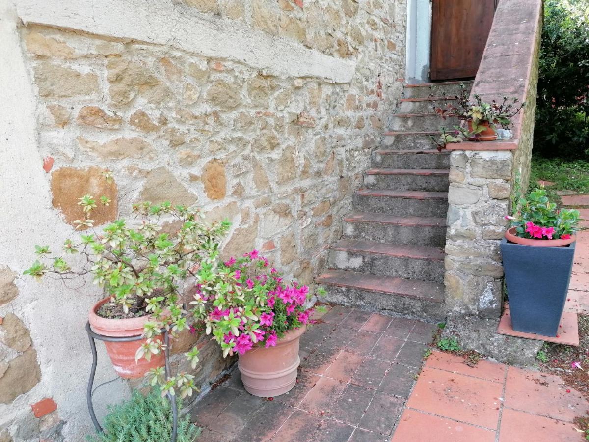 فيلا Agriturismo Poggio All'Olmo غريفي ان شنتي المظهر الخارجي الصورة